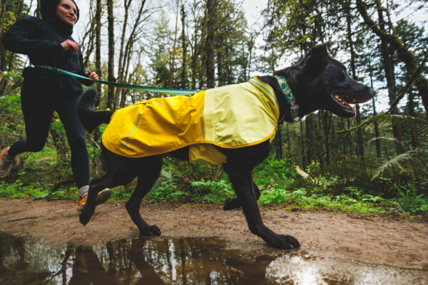 Imperméable pour chien SUN SHOWER™ – Image 12