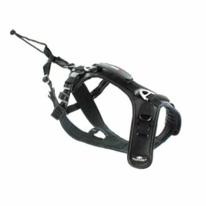 I-Dog Raidlight Harnais Canicross - Dog Shop
