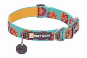 Collier pour chien FLAT OUT™