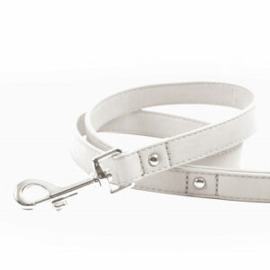 Laisse Noox pour chien