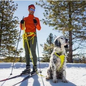 Dogshop Ruffwear Omnijore system pour canisports