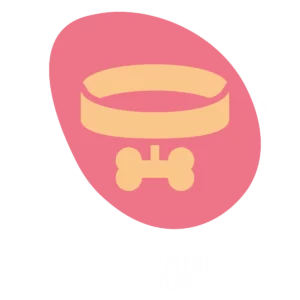Accessoires